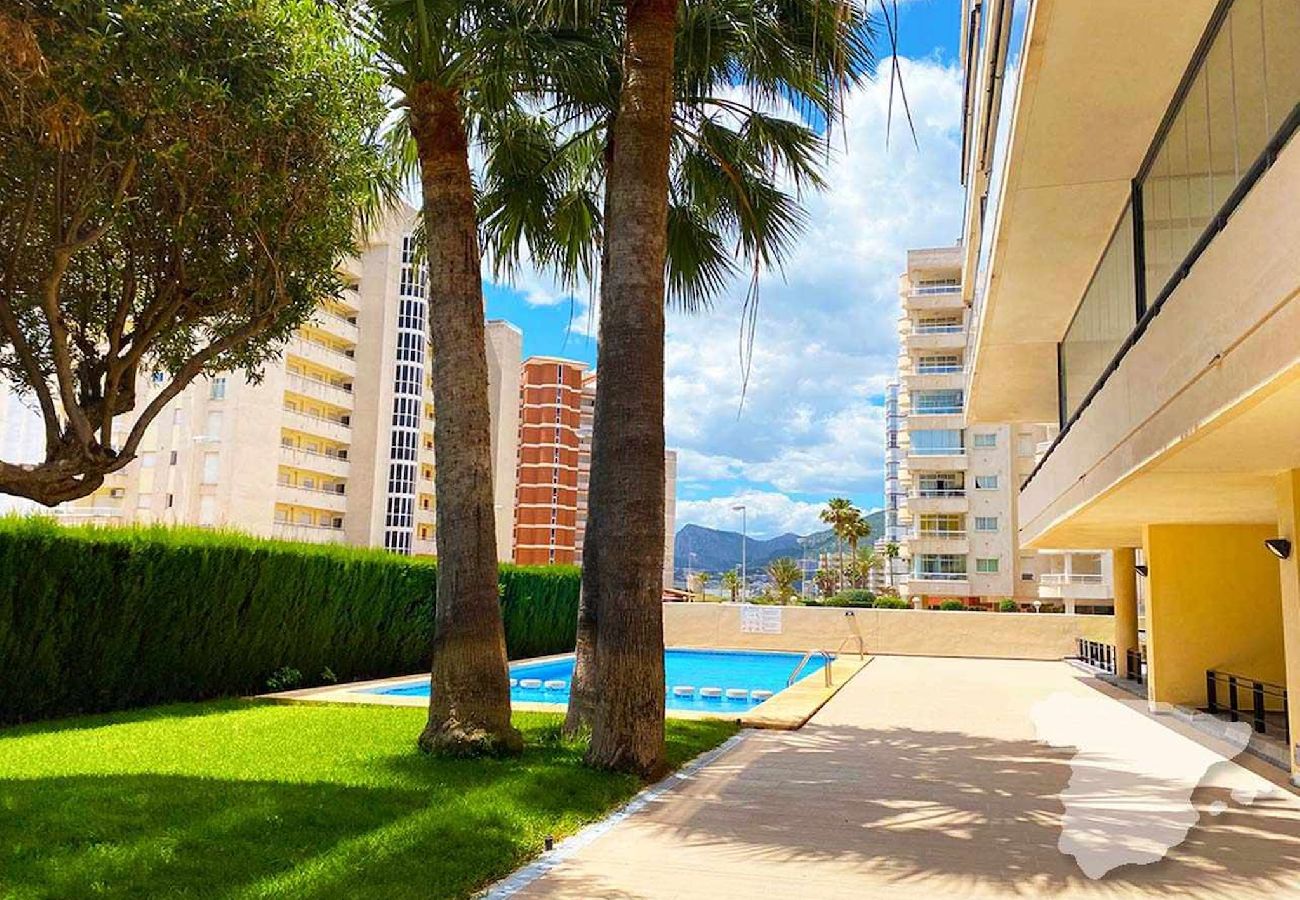 Ferienwohnung in Calpe / Calp - Morello 5A