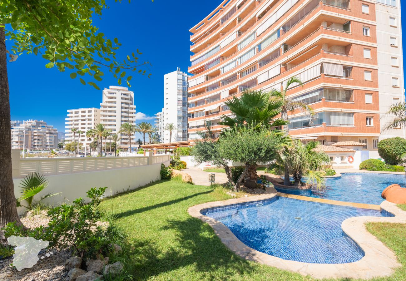 Ferienwohnung in Calpe / Calp - Realet