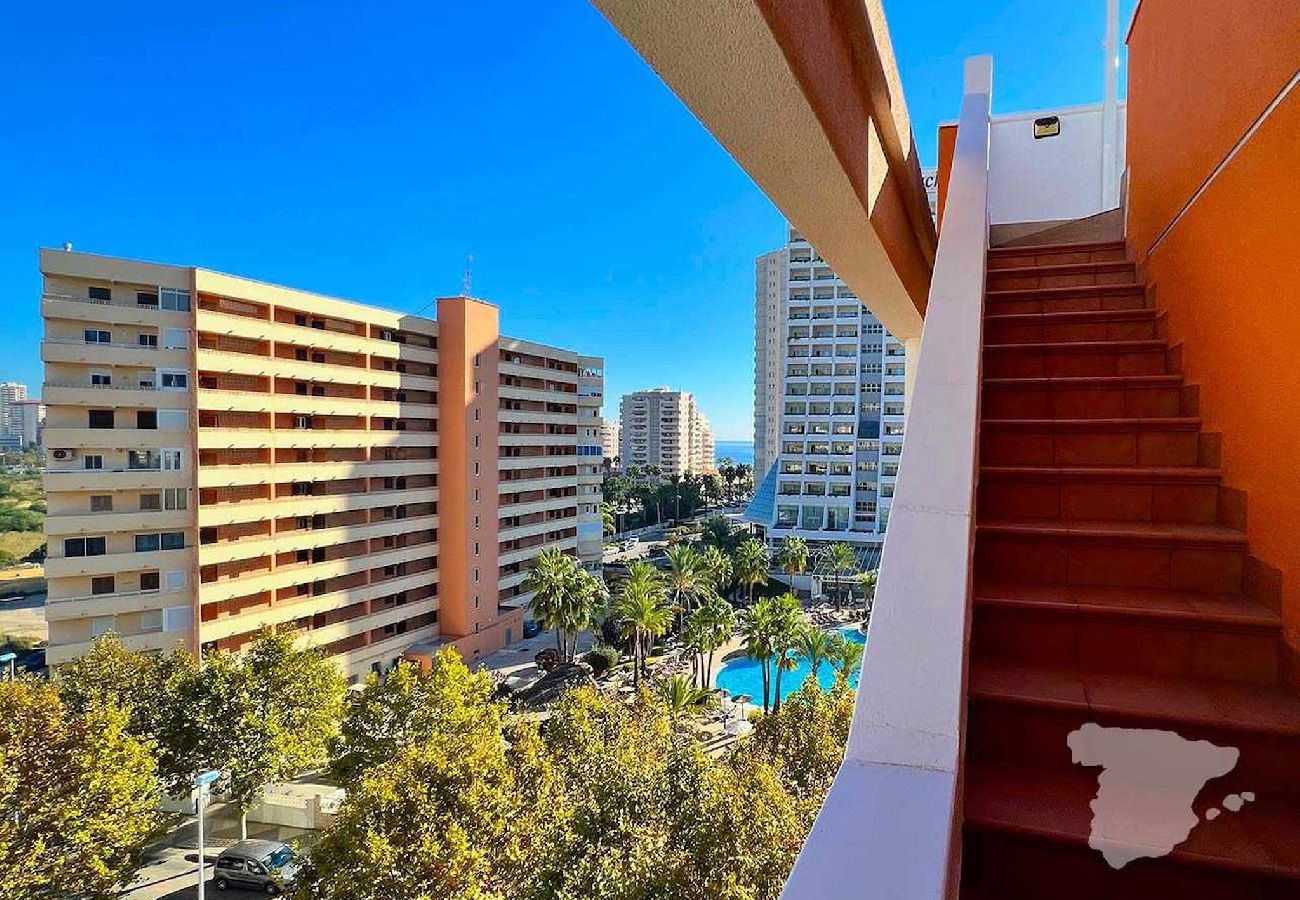 Ferienwohnung in Calpe / Calp - Penthouse Racodifac