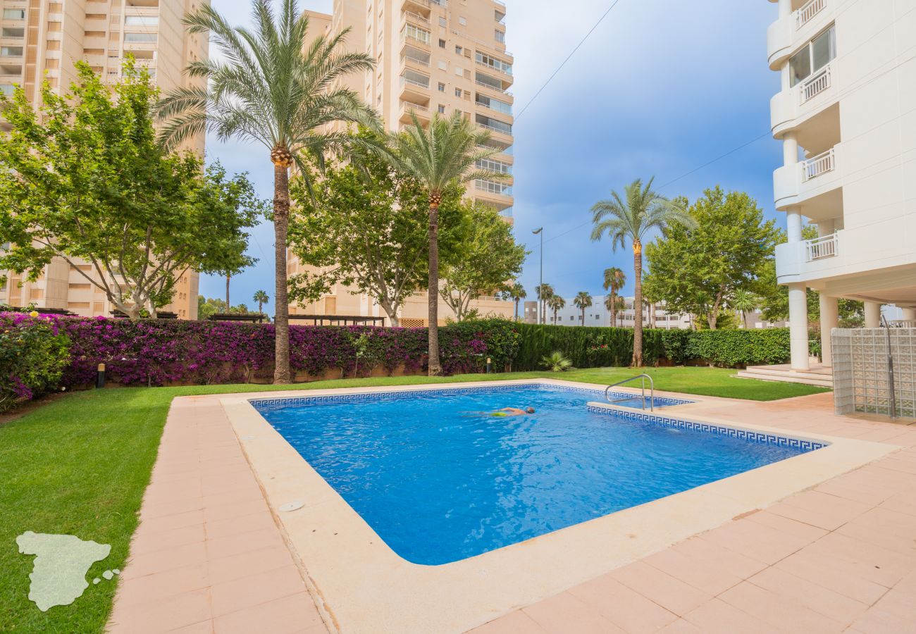 Ferienwohnung in Calpe / Calp - Apolo 12, 4E Azura