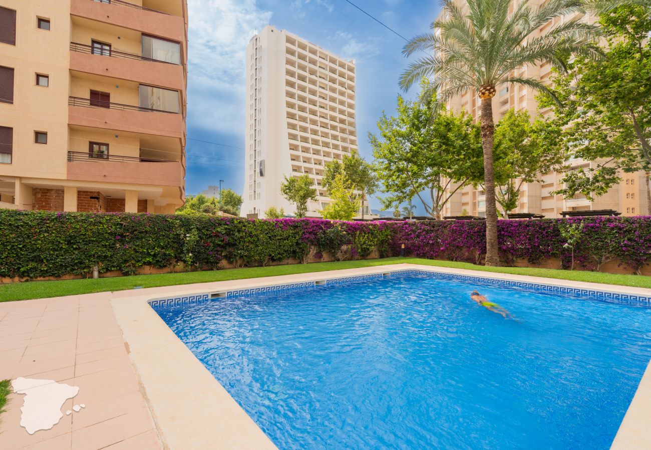 Ferienwohnung in Calpe / Calp - Apolo 12, 4E Azura