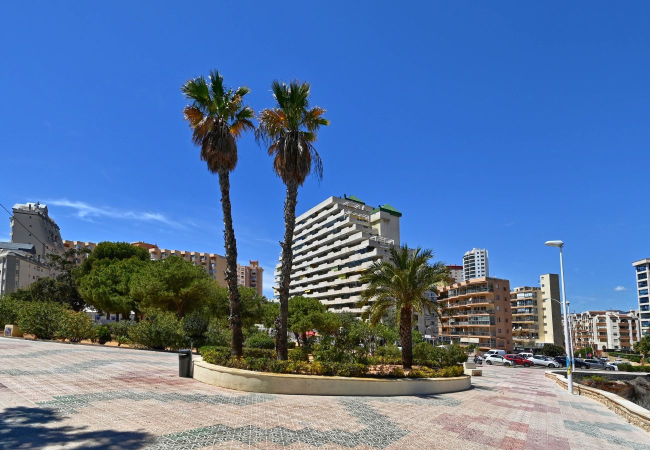 Ferienwohnung in Calpe / Calp - Apartment Mare Nostrum