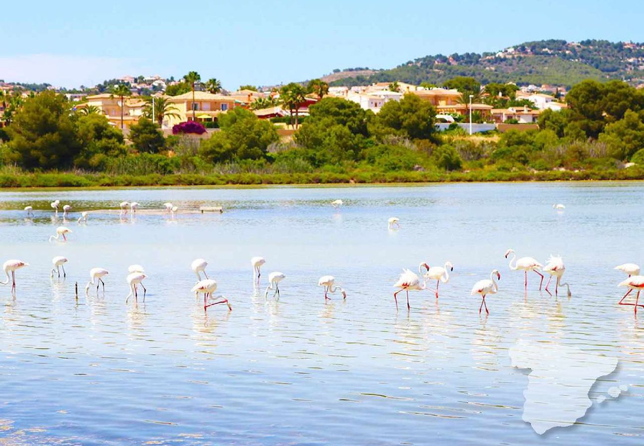 Appartement à Calpe / Calp - Larimar