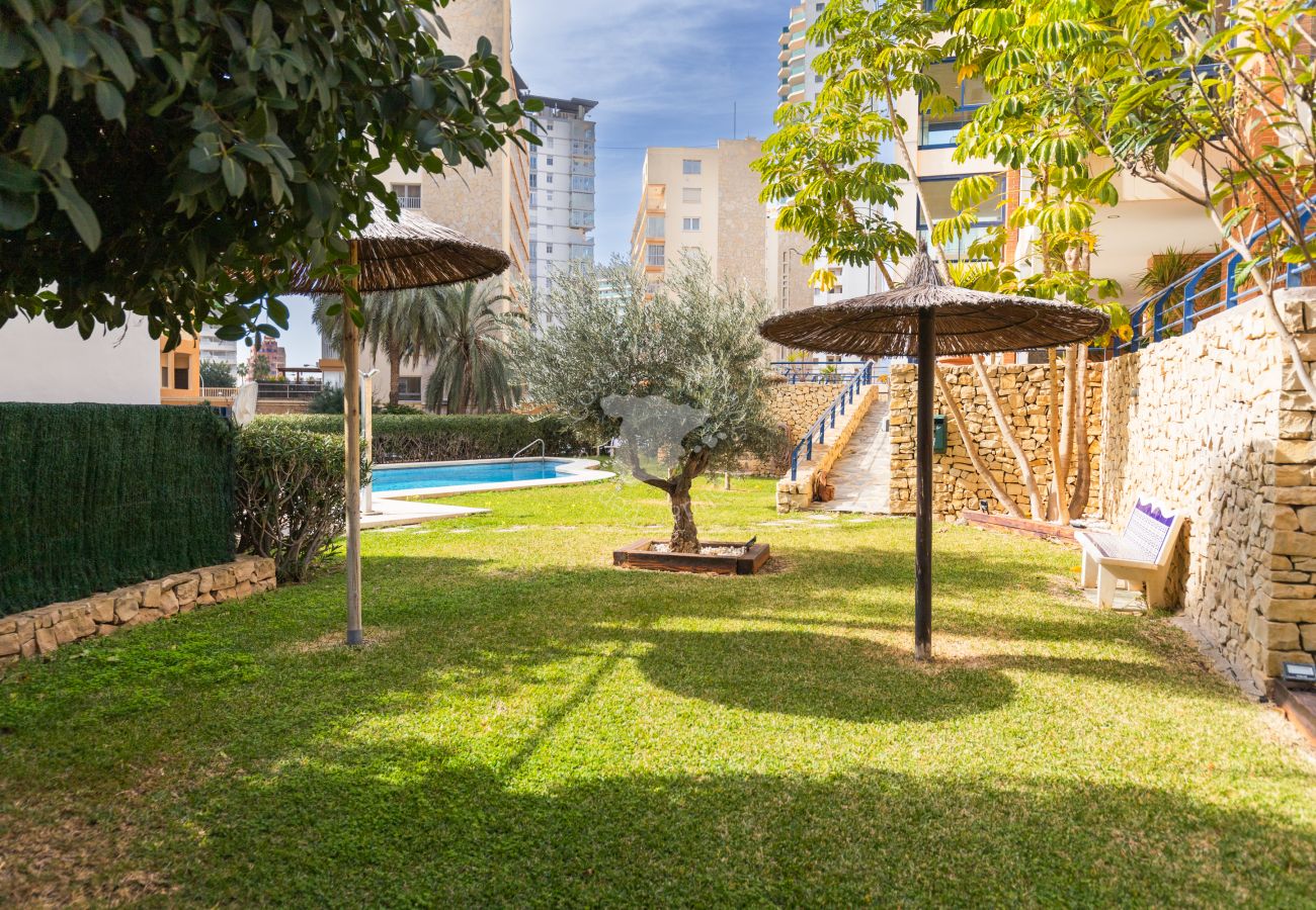 Appartement à Calpe / Calp - Sabater